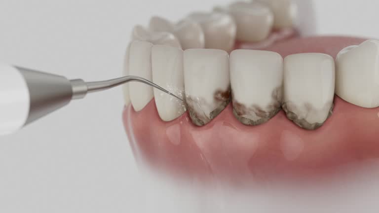 Reliable Dental contractor in Mayflower Village, CA by Dentist Open Now